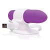 Charged Positive Rechargeable Vibe