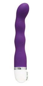 Quiver Vibrator (Color: Purple)