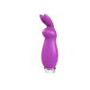 Crazzy Bunny Rechargeable Bullet